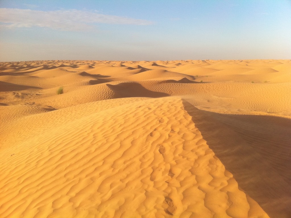 Les dunes du désert du Sahara en Tunisie