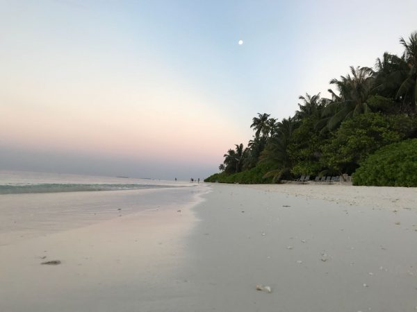 Une fin de journée paisible sur l'une des nombreuses îles des Maldives