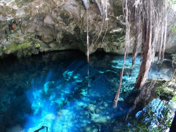L'eau translucide des cenotes de Tulum