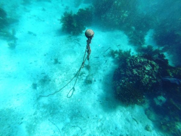 Un corps-mort flottant sous la surface de l'eau au MUSA de Cancun
