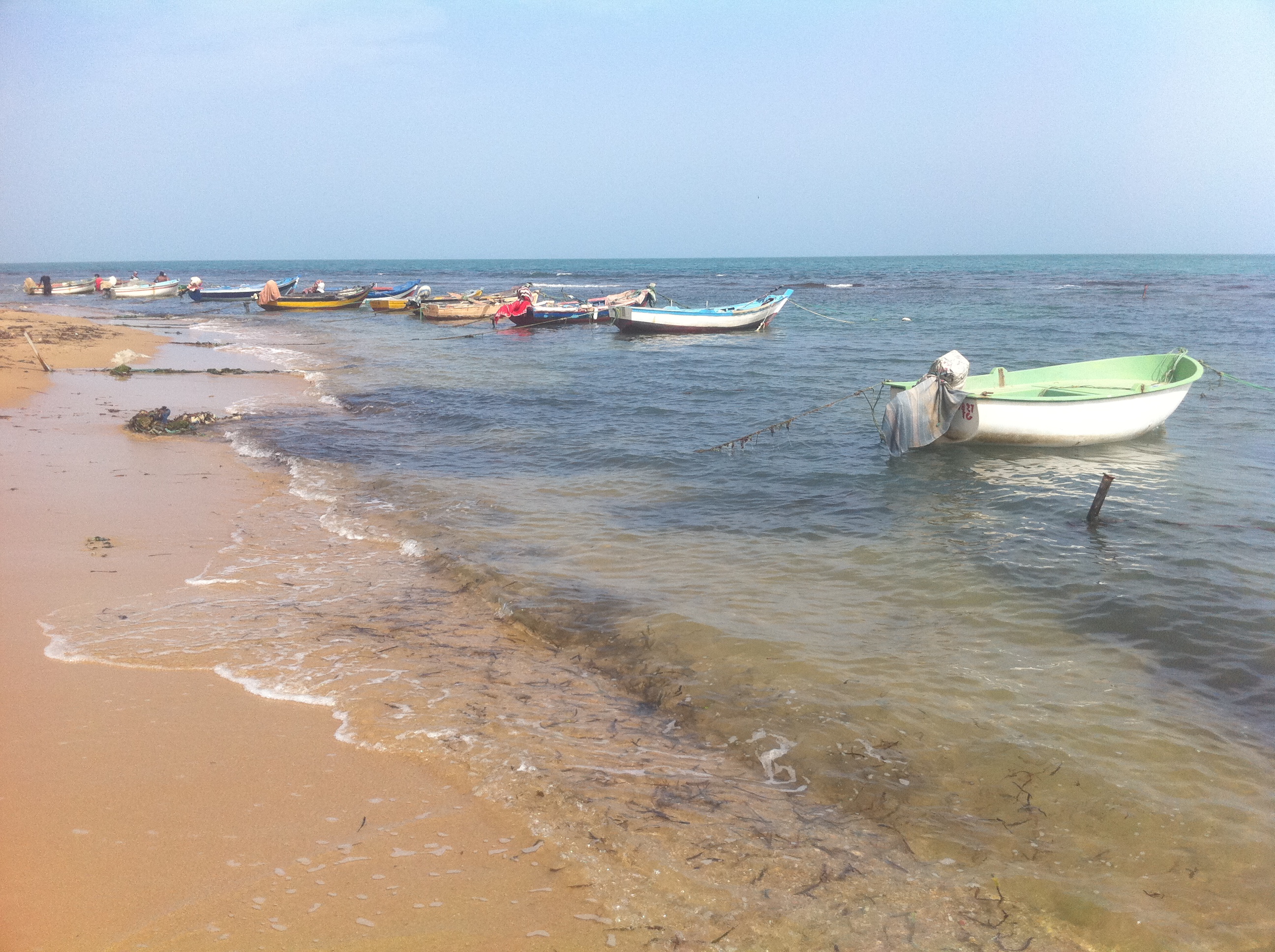 Bateaux de pêcheurs à La Marsa Tunisie