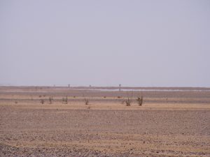 Un paysage au Niger