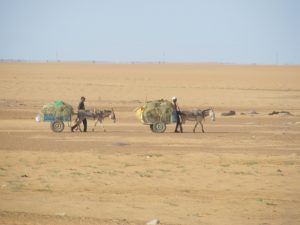 Deux hommes travaillant au Niger, l'un des pays les plus pauvres