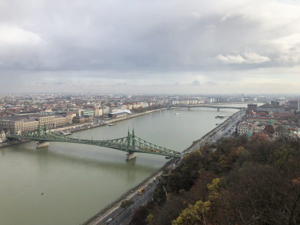 L'un des fleuves les plus longs, situé en Europe centrale