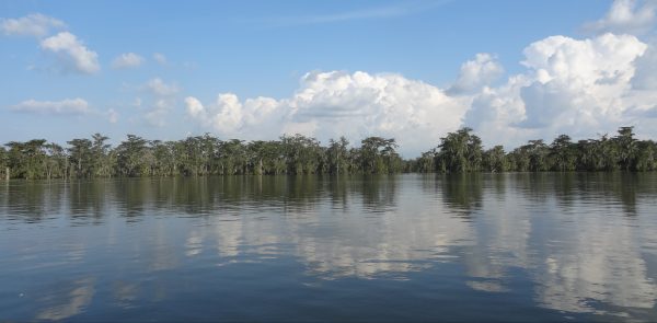 Les rives du Mississipi en Louisiane, Etats-Unis