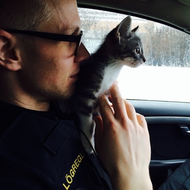un policier islandais avec un petit chaton