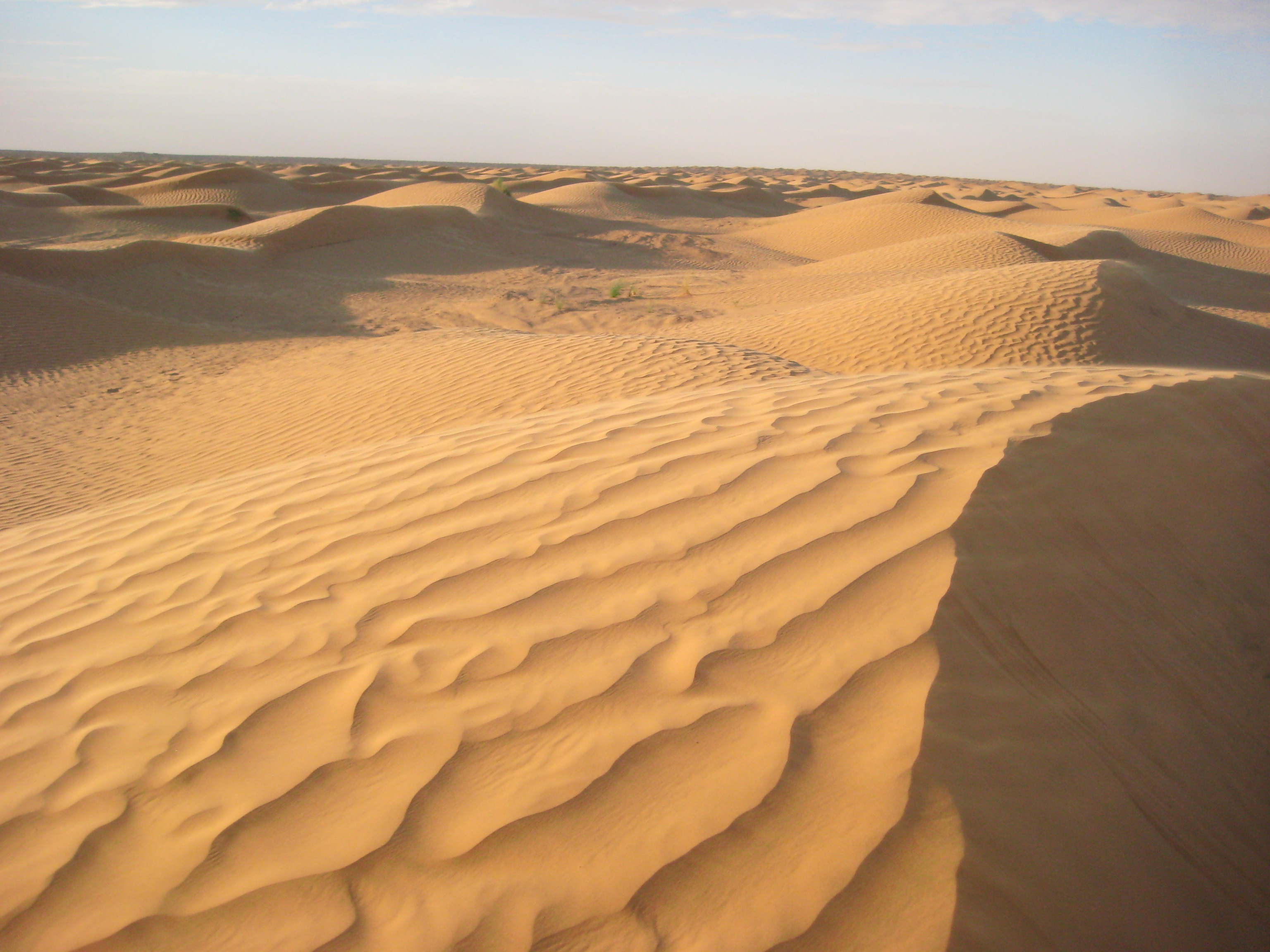 Les dunes de sable du Sahara à perte de vue