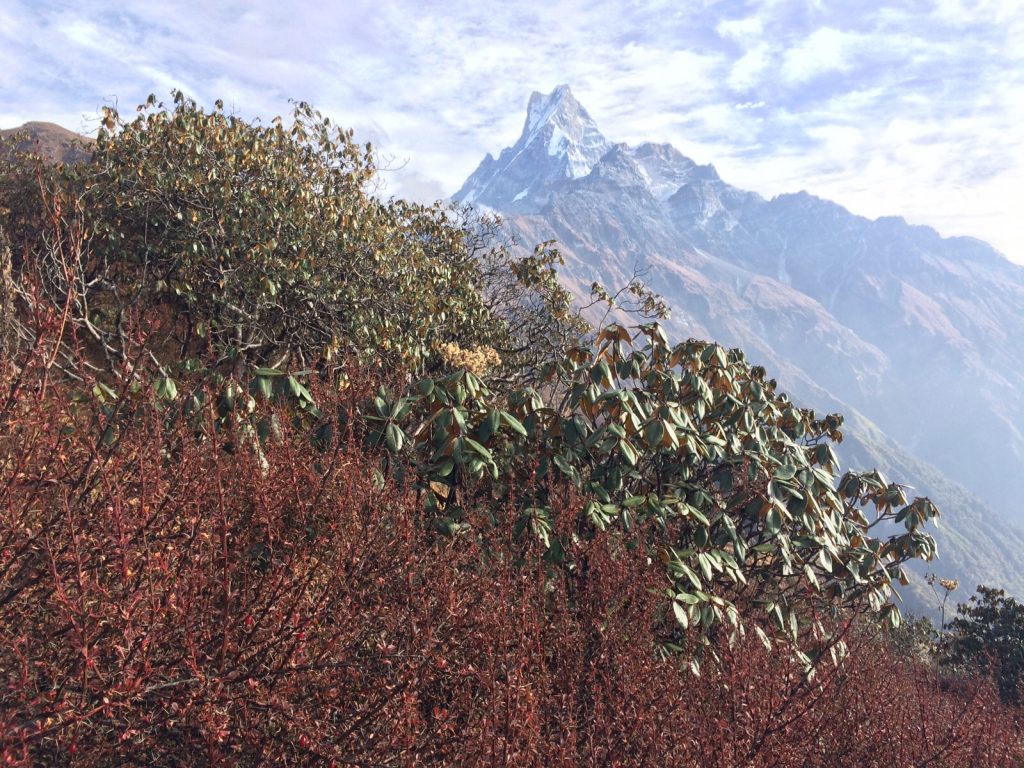Balade sur les très hauts contreforts de l'Himalaya, la plus haute chaîne de montagne du monde