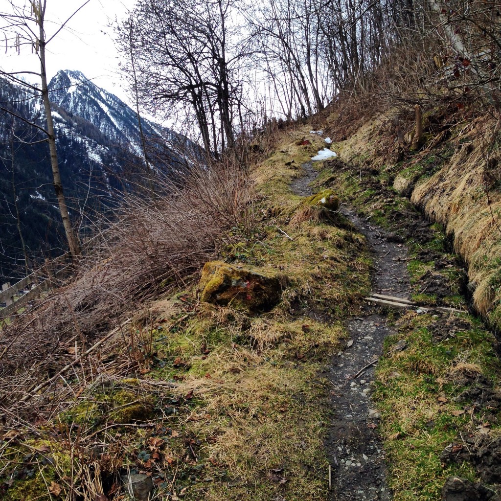 Le Tyrol à 1200 mètres d'altitude, le lieu rêvé pour pratiquer la randonnée en pleine nature