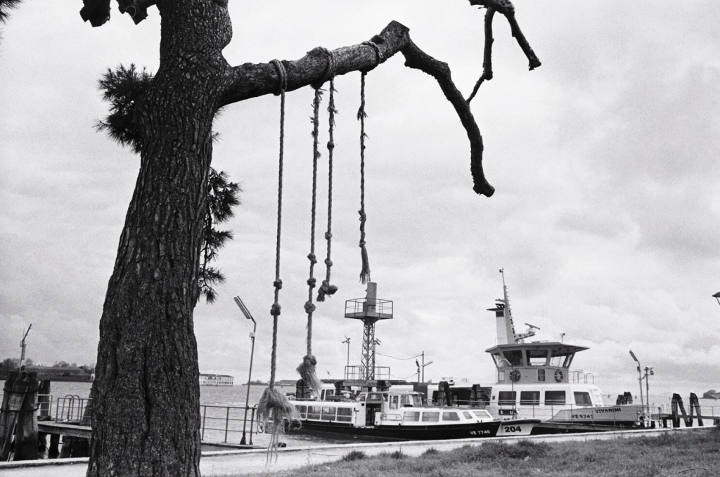 Des cordes à noeuds dans un parc à Venise