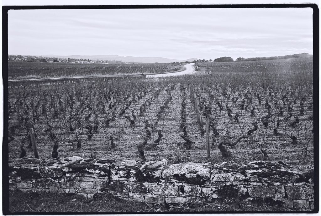Des vignes à perte de vue sur les belles routes de Bourgogne