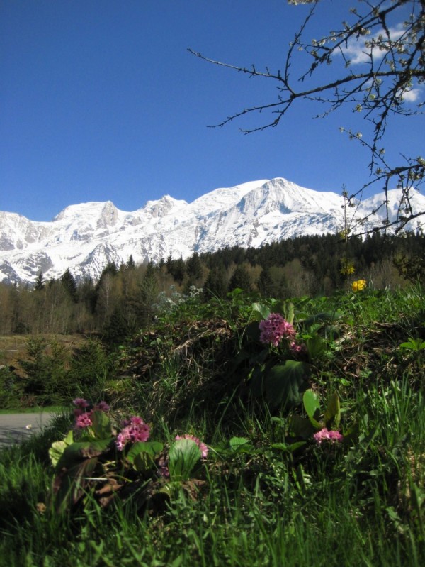 Le printemps dans les alpes françaises, vallée de Chamonix