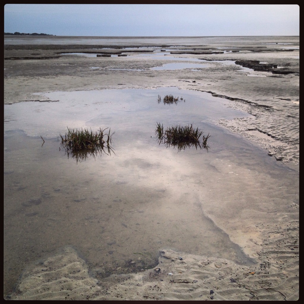 La baie de Somme à marée basse