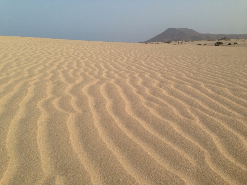 Les longues dunes de sables du Nord de l'île de Fuerteventura