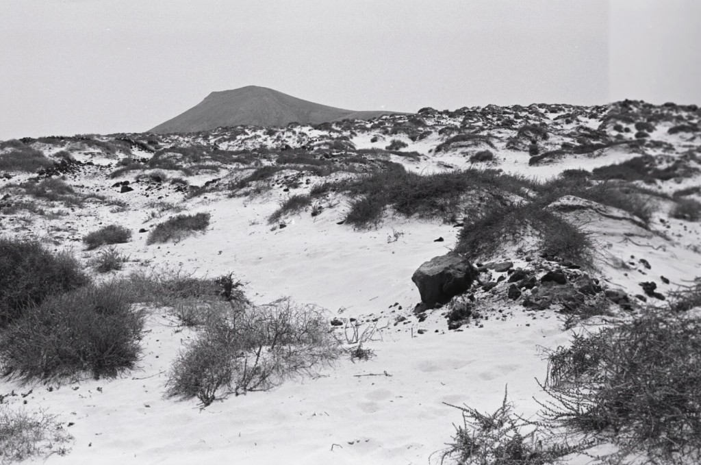 Au nord de l'île, à perte de vue, des dunes et du sable