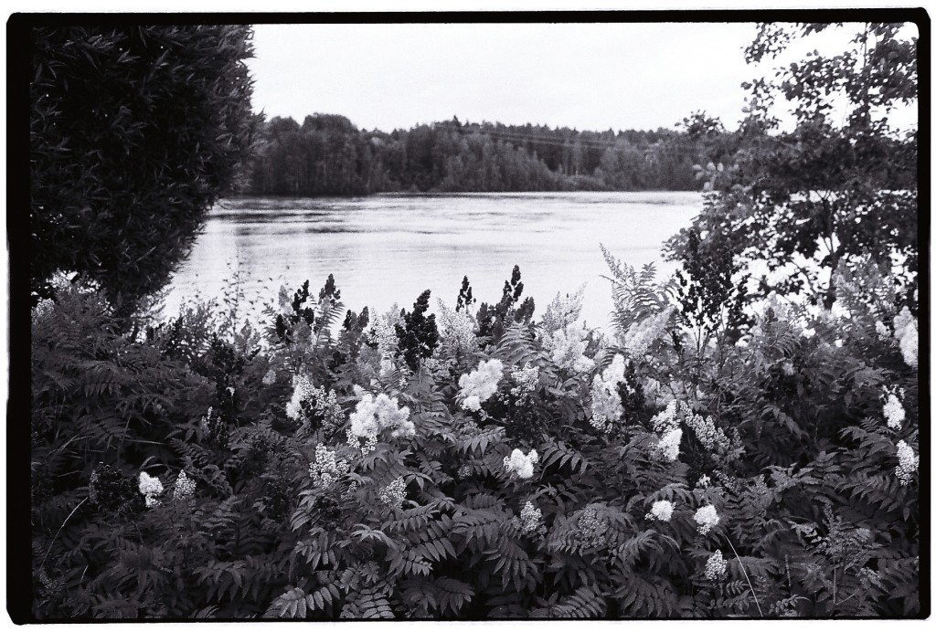 L'été en Finlande et en noir et blanc