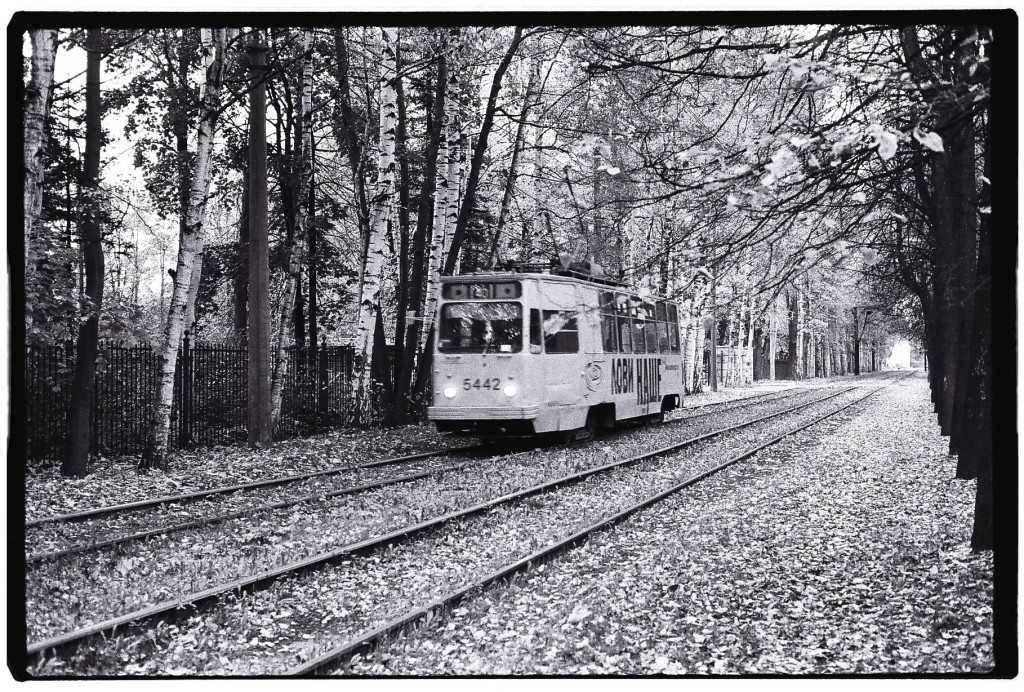 Un tramway roule sur l'automne