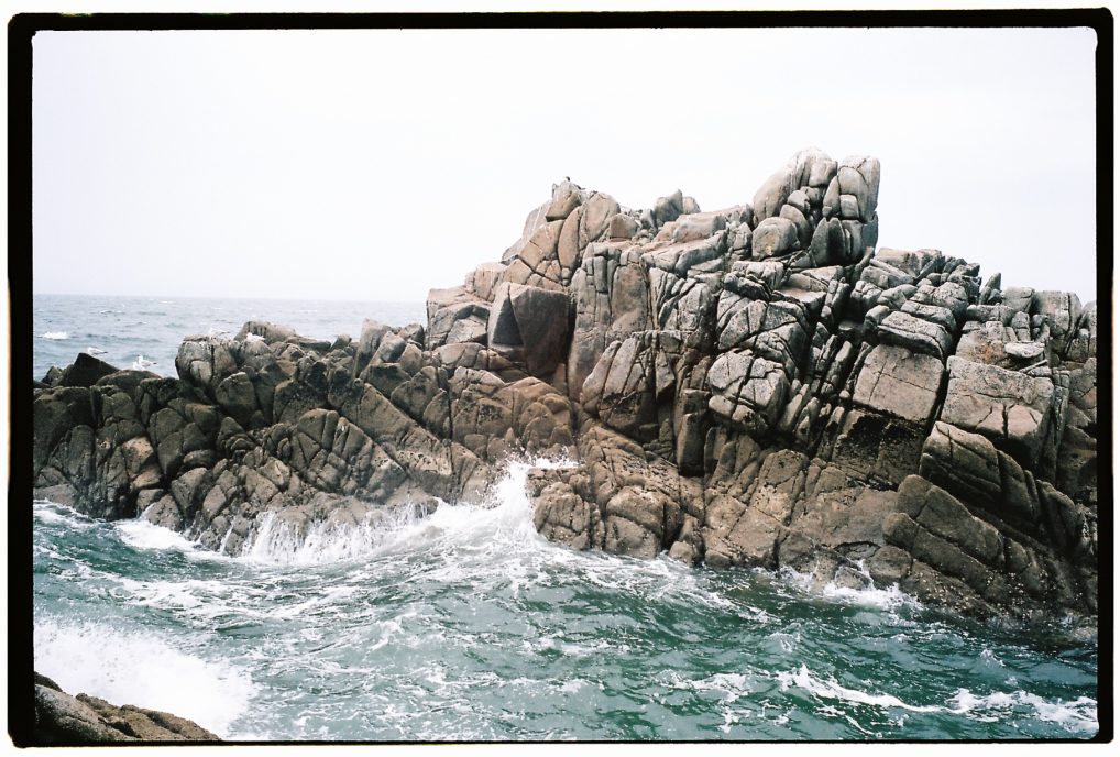 Des cormorans se reposent sur les rochers