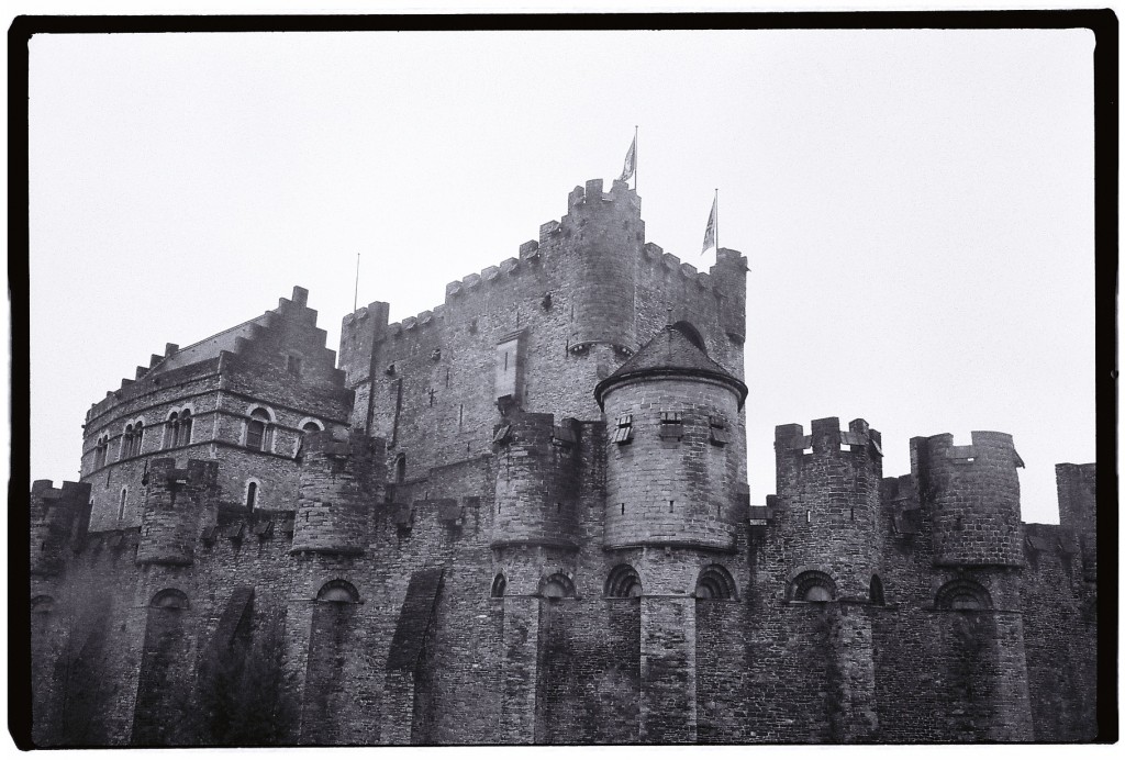 Le château des Comtes