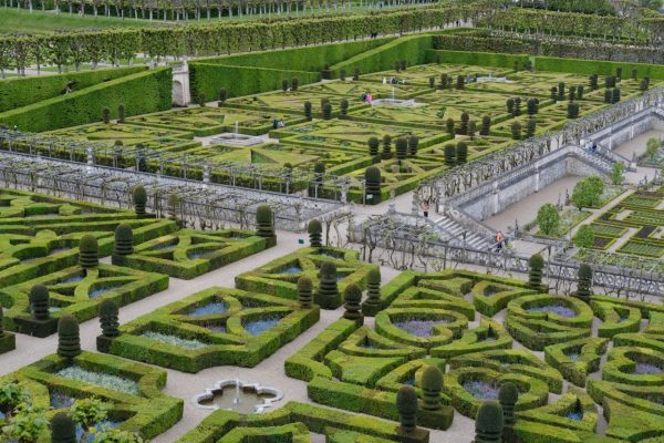 Un plan serré sur les jardins de Villandry