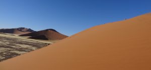 Le désert du Namib, une étendue de sable immense et désertique