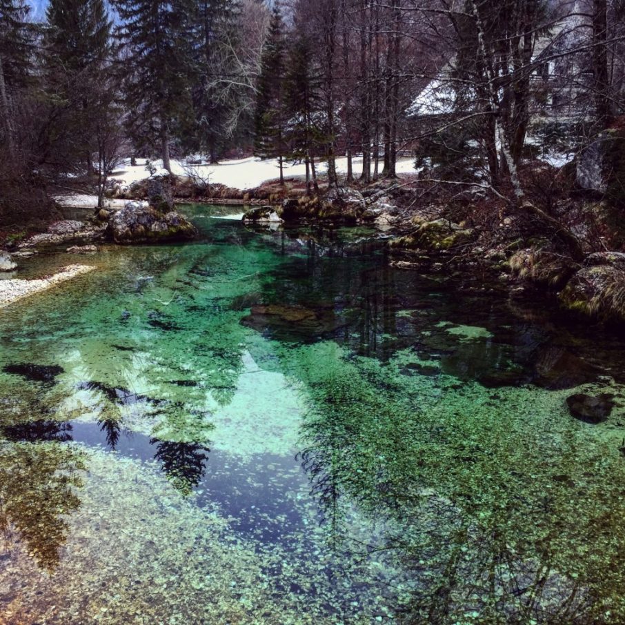 Une petite rivière translucide qui vient alimenter le lac de Bohinj