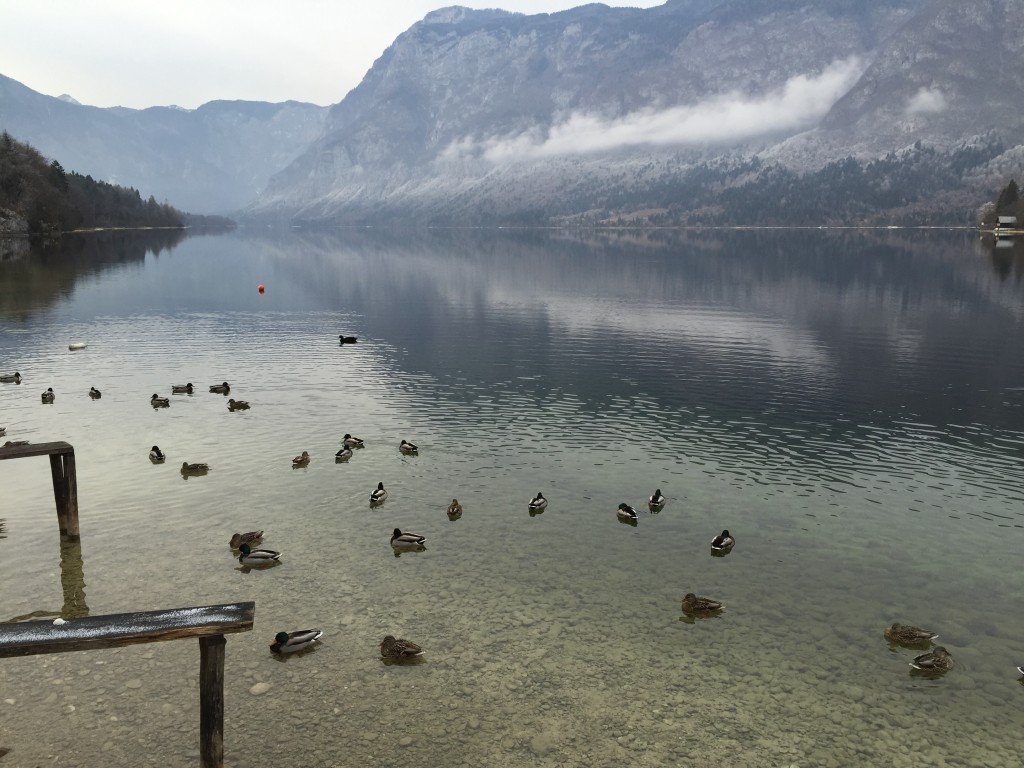 Le lac de Bohinj vu depuis le sud