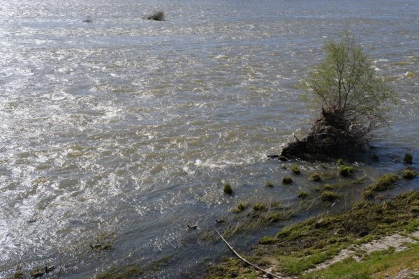 La Loire sous le soleil