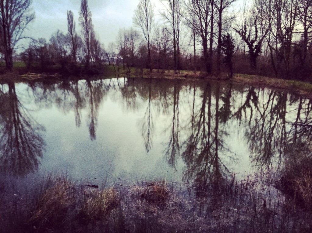Un étang dans les environs de Saint-Emilion