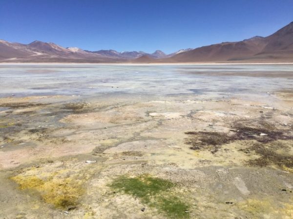 La lagune blanca en Bolivie perdue aux confins des Andes.
