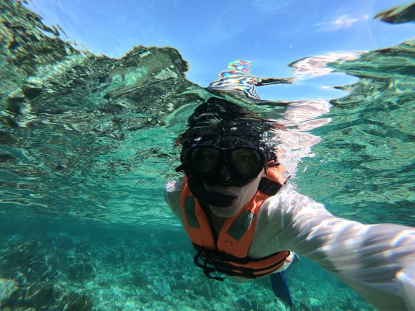 En plongée sur la barrière de corail du Yucatan