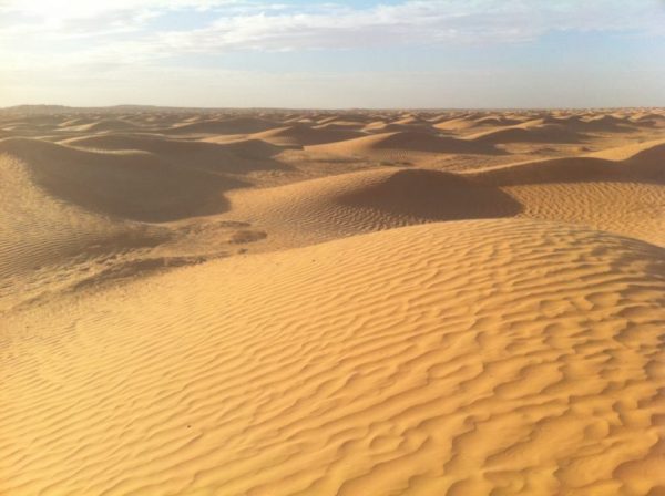 Le désert du Sahara une rencontre imprévue