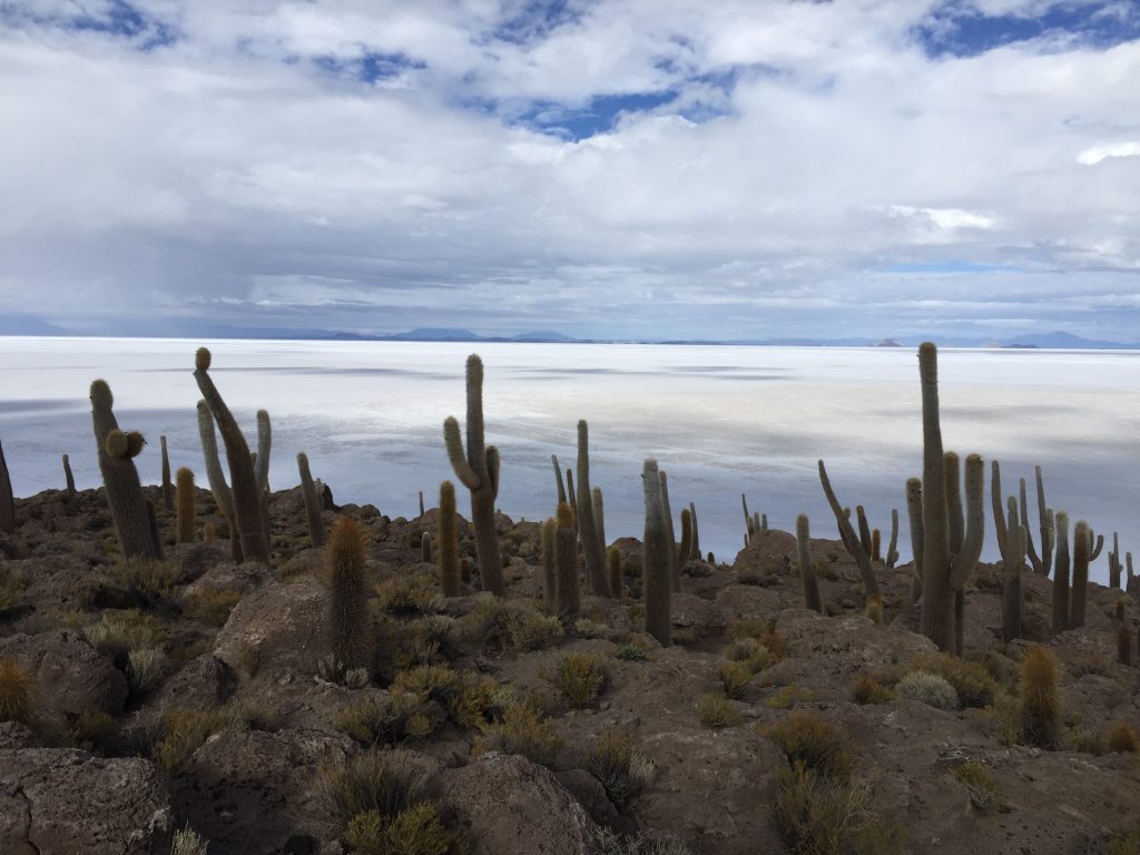 En Bolivie un désert de sel à perte de vue