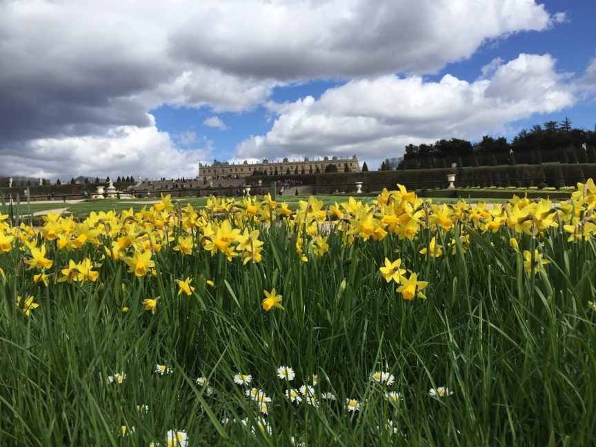 Balade en avril dans le Parc du château de Versailles