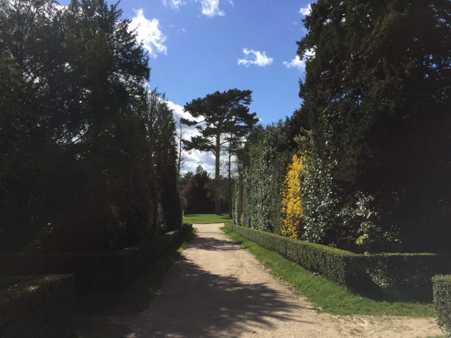 Le bosquet de la Reine, dans le parc du château de Versailles