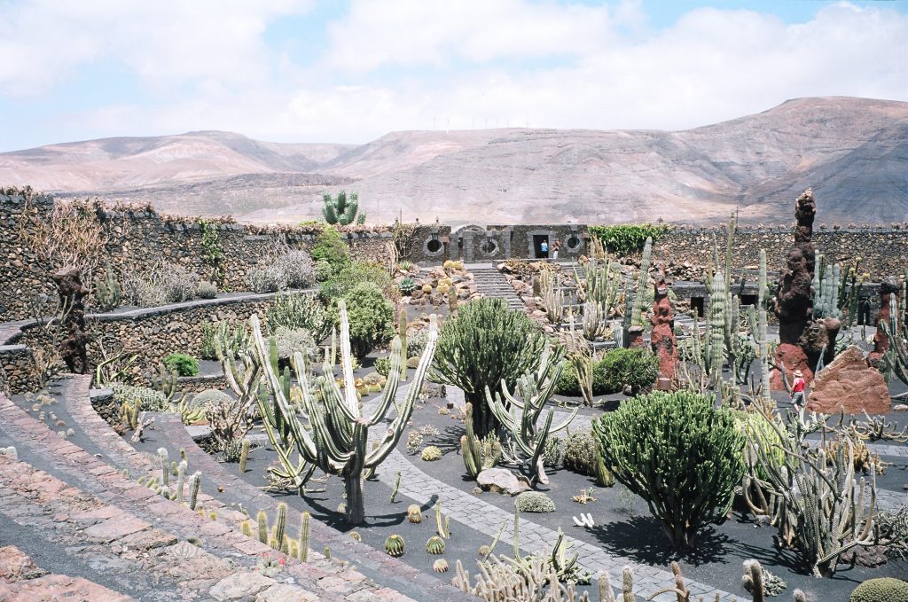 Le jardin des Cactus à Lanzarote, par César Manrique
