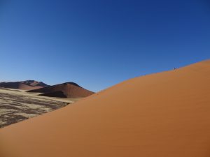 Dune 45, désert du Namib