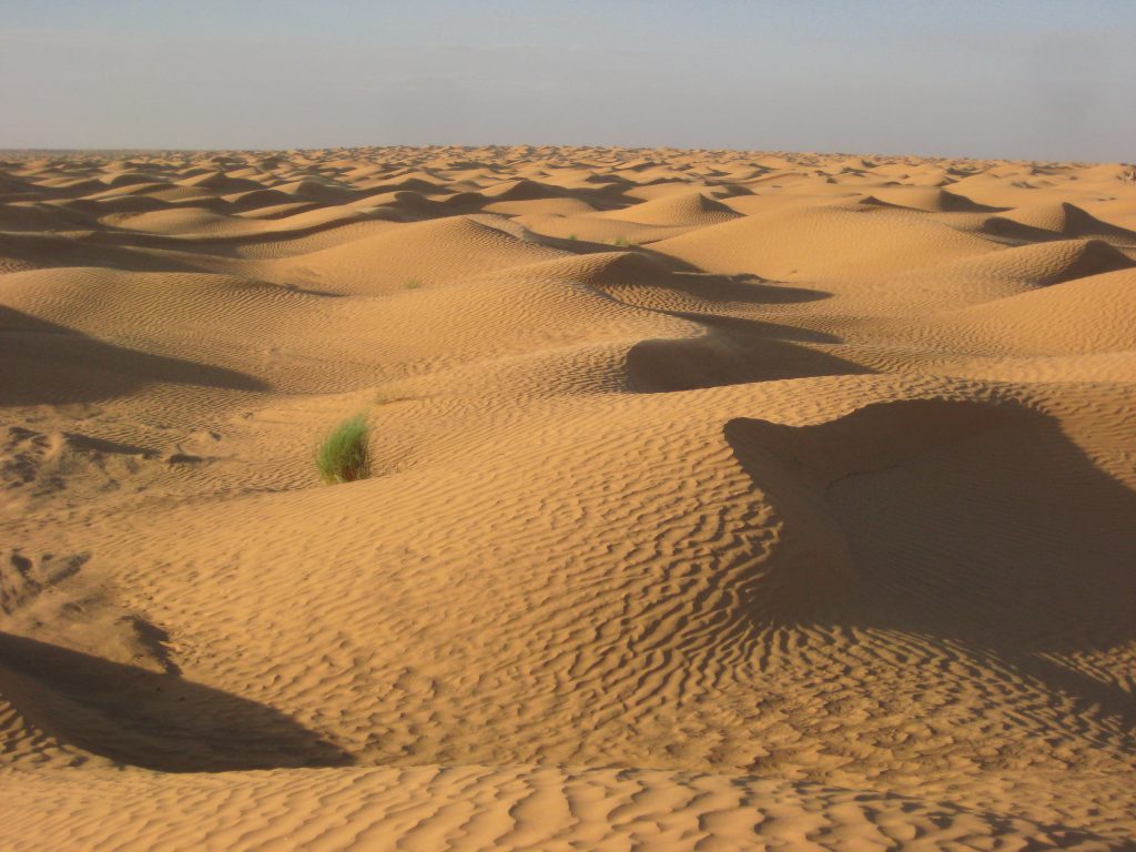 Le désert et du sable à l'infini, dans le Sahara