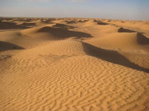 Les dunes du Sahara devant moi à perte de vue