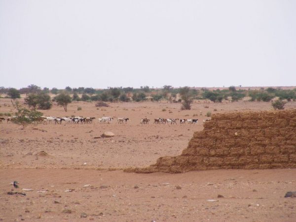Le Niger un pays sec et chaud