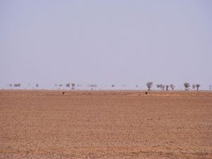 Le désert à Arlit au Niger une zone où des français se sont fait enlevés par des terroristes...
