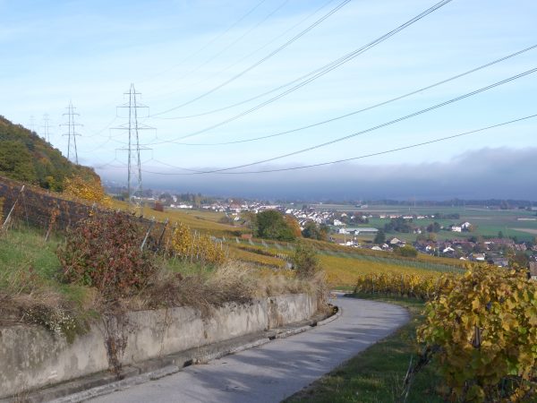 Quelques pylônes et des câbles électriques passant au-dessus des vignes de Vinzel
