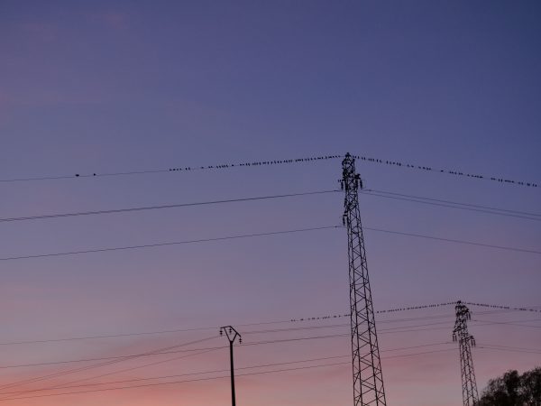 Quelques pylônes lors du coucher du soleil en Bourgogne