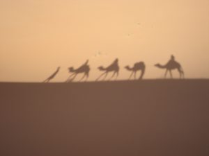 Une caravane dans le désert du Sahara