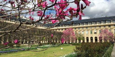 Les jardins du Palais Royal
