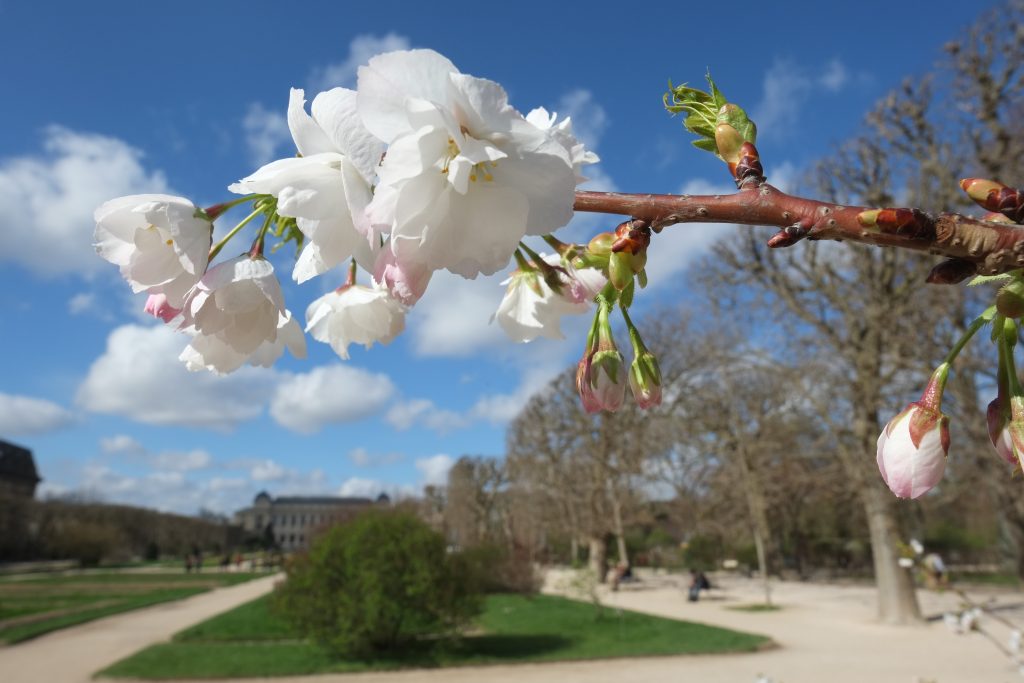 Le parc floral dans le 5 ème arrondissement à Paris
