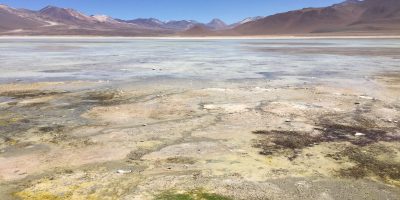 La laguna blanca dans le sud de la Bolivie