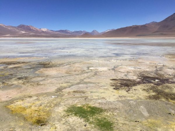 La laguna blanca dans le sud de la Bolivie