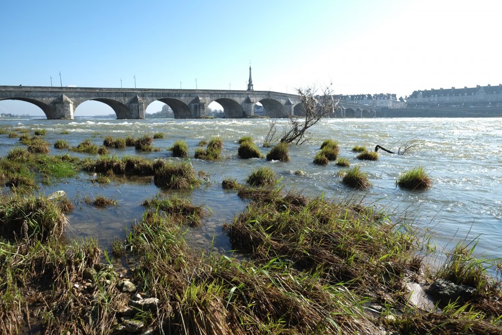 Sur les rives de la Loire à Blois