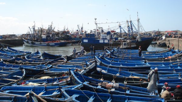 Le très joli port d'Essaouira au Maroc